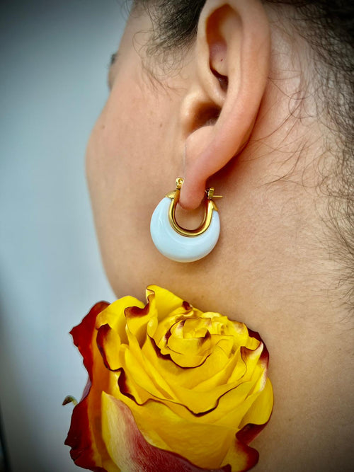 Ceramic Earrings